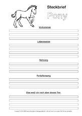Pony-Steckbriefvorlage-sw.pdf